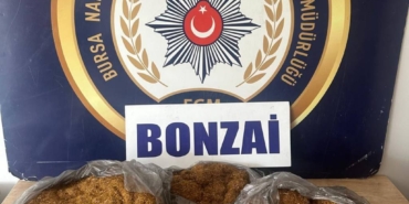 bilecik-haber_bursa-da-uyusturucu-operasyonlarinda-4-supheli-gozaltina-alindi-25623.jpg