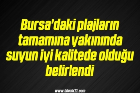 bilecik-haber_bursa-daki-plajlarin-tamamina-yakininda-suyun-iyi-kalitede-oldugu-belirlendi-19-19.jpg