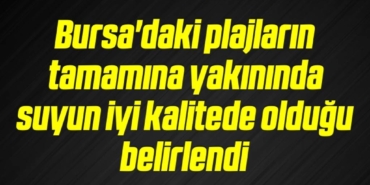 bilecik-haber_bursa-daki-plajlarin-tamamina-yakininda-suyun-iyi-kalitede-oldugu-belirlendi-19-19.jpg