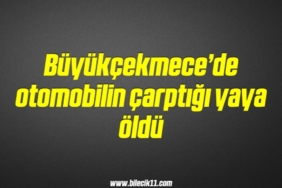 bilecik-haber_buyukcekmece-de-otomobilin-carptigi-yaya-oldu-1-1.jpg
