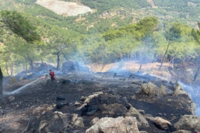 bilecik-haber_canakkale-de-ormanlik-alanda-cikan-yangin-kontrol-altina-alindi-25926.jpg