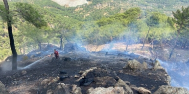 bilecik-haber_canakkale-de-ormanlik-alanda-cikan-yangin-kontrol-altina-alindi-25926.jpg