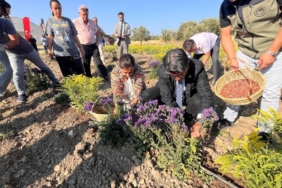 bilecik-haber_canakkale-de-sus-bitkisi-uretiminde-isbirligi-yapan-kadin-ciftciler-hasada-basladi-24994.jpg