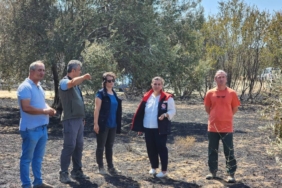 bilecik-haber_canakkale-deki-orman-yangini-sonrasi-hasar-tespit-calismalari-basladi-23784.jpg