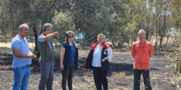 bilecik-haber_canakkale-deki-orman-yangini-sonrasi-hasar-tespit-calismalari-basladi-23784.jpg