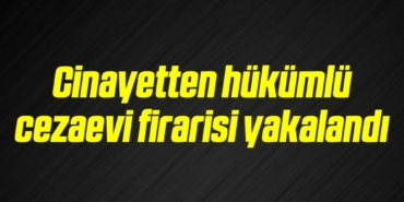 bilecik-haber_cinayetten-hukumlu-cezaevi-firarisi-yakalandi-18-18.jpg