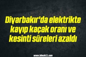 bilecik-haber_diyarbakir-da-elektrikte-kayip-kacak-orani-ve-kesinti-sureleri-azaldi-3-3.jpg