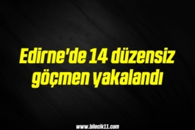bilecik-haber_edirne-de-14-duzensiz-gocmen-yakalandi-10-10.jpg