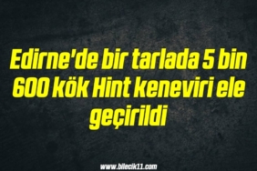 bilecik-haber_edirne-de-bir-tarlada-5-bin-600-kok-hint-keneviri-ele-gecirildi-4-4.jpg