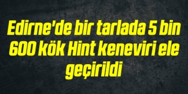 bilecik-haber_edirne-de-bir-tarlada-5-bin-600-kok-hint-keneviri-ele-gecirildi-4-4.jpg