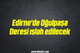 bilecik-haber_edirne-de-ogulpasa-deresi-islah-edilecek-7-7.jpg