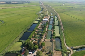 bilecik-haber_edirne-de-uretilen-10-milyon-yavru-sazan-baligi-baraj-ve-goletlere-birakildi-24427.jpg