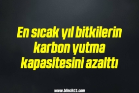 bilecik-haber_en-sicak-yil-bitkilerin-karbon-yutma-kapasitesini-azaltti-20-20.jpg
