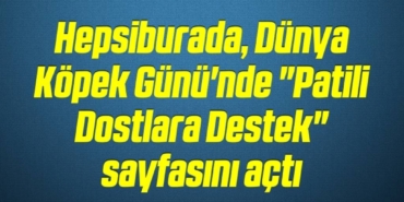 bilecik-haber_hepsiburada-dunya-kopek-gunu-nde-patili-dostlara-destek-sayfasini-acti-1-1.jpg