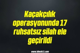 bilecik-haber_kacakcilik-operasyonunda-17-ruhsatsiz-silah-ele-gecirildi-8-8.jpg