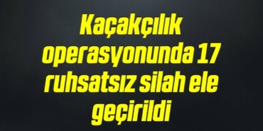 bilecik-haber_kacakcilik-operasyonunda-17-ruhsatsiz-silah-ele-gecirildi-8-8.jpg