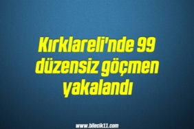 bilecik-haber_kirklareli-nde-99-duzensiz-gocmen-yakalandi-14-14.jpg