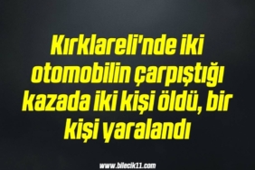 bilecik-haber_kirklareli-nde-iki-otomobilin-carpistigi-kazada-iki-kisi-oldu-bir-kisi-yaralandi-14-14.jpg