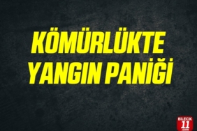 bilecik-haber_komurlukte-yangin-panigi-22440.jpg