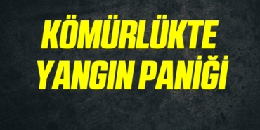 bilecik-haber_komurlukte-yangin-panigi-22440.jpg