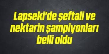 bilecik-haber_lapseki-de-seftali-ve-nektarin-sampiyonlari-belli-oldu-1-1.jpg