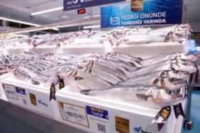 bilecik-haber_metro-premium-dan-yuksek-omega-3-degerine-sahip-levrek-ve-cipuralar-21199.jpg