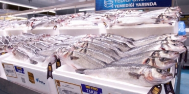 bilecik-haber_metro-premium-dan-yuksek-omega-3-degerine-sahip-levrek-ve-cipuralar-21199.jpg
