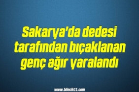 bilecik-haber_sakarya-da-dedesi-tarafindan-bicaklanan-genc-agir-yaralandi-11-11.jpg