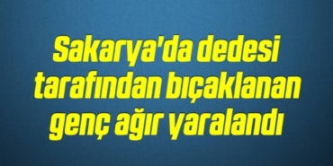 bilecik-haber_sakarya-da-dedesi-tarafindan-bicaklanan-genc-agir-yaralandi-11-11.jpg