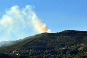 bilecik-haber_sakarya-da-ormanlik-alanda-cikan-yangin-kontrol-altina-alindi-22483.jpg