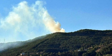 bilecik-haber_sakarya-da-ormanlik-alanda-cikan-yangin-kontrol-altina-alindi-22483.jpg