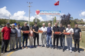 bilecik-haber_satin-alacaklari-cilegi-1000-rakimdaki-tarlada-elleriyle-topluyorlar-22707.jpg