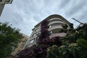 bilecik-haber_sisli-de-5-katli-apartmanin-catisina-kadar-uzanan-begonvil-gorenleri-hayran-birakiyor-21373.jpg
