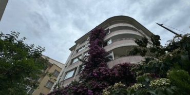 bilecik-haber_sisli-de-5-katli-apartmanin-catisina-kadar-uzanan-begonvil-gorenleri-hayran-birakiyor-21373.jpg