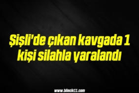 bilecik-haber_sisli-de-cikan-kavgada-1-kisi-silahla-yaralandi-11-11.jpg