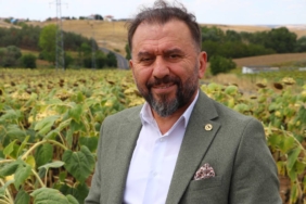 bilecik-haber_tekirdag-dan-rusya-ya-ihrac-edilen-yerli-hibrit-aycicegine-talep-artiyor-22841.jpg