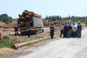 bilecik-haber_uzerine-tomruk-dusen-surucu-oldu-24847.jpg
