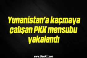 bilecik-haber_yunanistan-a-kacmaya-calisan-pkk-mensubu-yakalandi-5-5.jpg