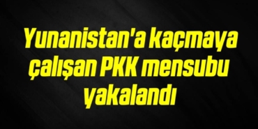 bilecik-haber_yunanistan-a-kacmaya-calisan-pkk-mensubu-yakalandi-5-5.jpg