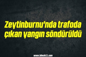 bilecik-haber_zeytinburnu-nda-trafoda-cikan-yangin-sonduruldu-18-18.jpg