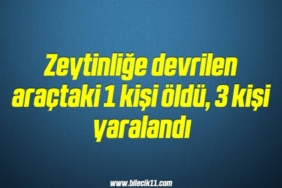 bilecik-haber_zeytinlige-devrilen-aractaki-1-kisi-oldu-3-kisi-yaralandi-18-18.jpg