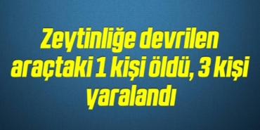 bilecik-haber_zeytinlige-devrilen-aractaki-1-kisi-oldu-3-kisi-yaralandi-18-18.jpg