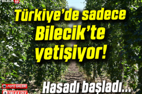 bilecik'te