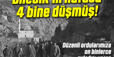 düzenli