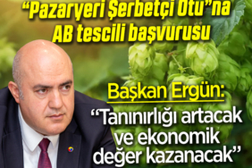 ergün