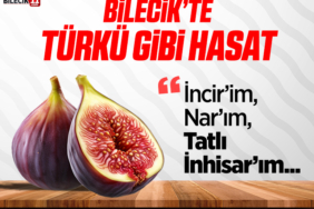 inhisar