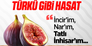 inhisar