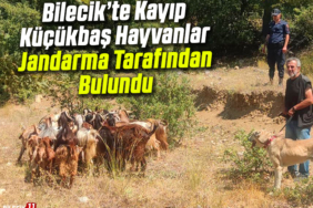 jandarma