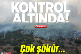 kontrol