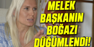 melek